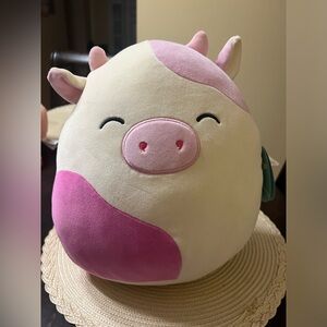 NWT Caedyn Squishmallow